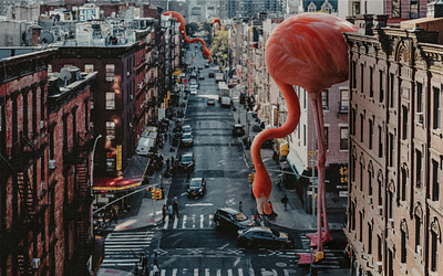 Flamingo apartment building design flamingo flat graphic design new york photomontage photoshop red street