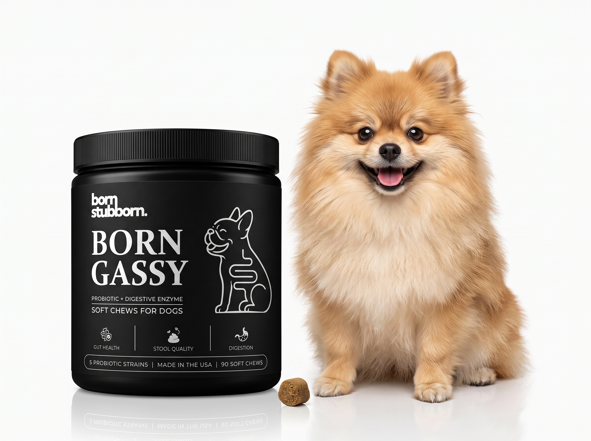 Born Stubborn – Born Gassy | Dog Supplement Pack amazon branding dog label luxury minimal mockup pet supplement