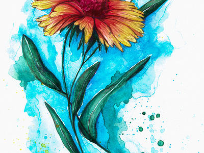 Rudbeckia flower illustration rudbeckia watercolor watercolor drawing