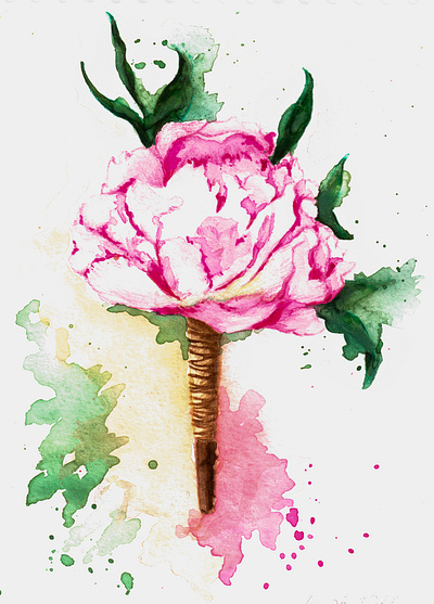 Peony flower illustration peony watercolor