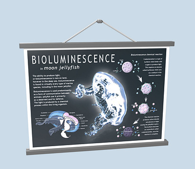 Bioluminescence poster graphic design jellyfish jellyfish art marine art marine biology poster poster design science art scientific art scientific artist visual design