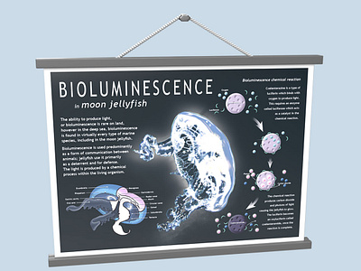 Bioluminescence poster graphic design jellyfish jellyfish art marine art marine biology poster poster design science art scientific art scientific artist visual design