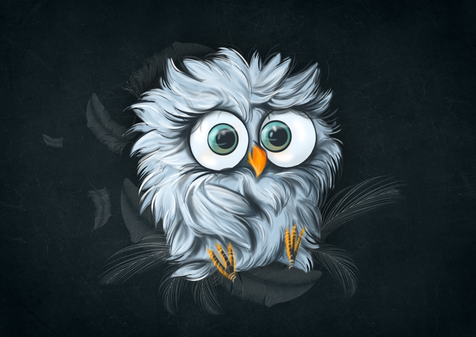 Zaboul & owl animation design graphic design illustration motion graphics vector