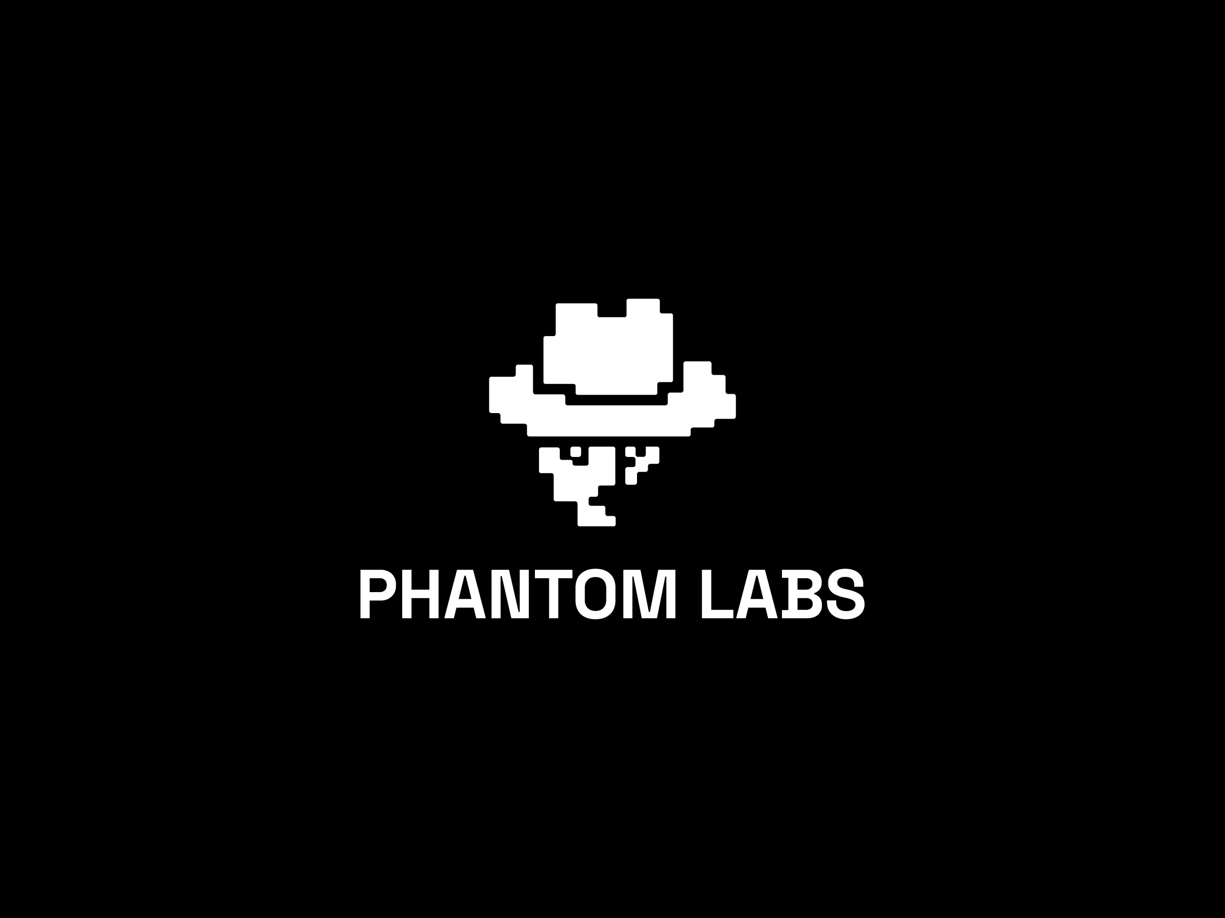 Phantom Labs black and white brand identity branding cybersecurity design geo geometric logo graphic design identity design logo logos phantom pixel vector