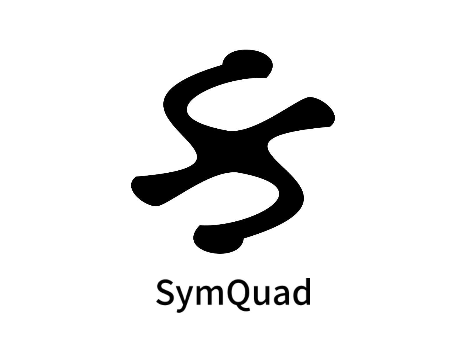 SymQuad 10 nodes abstract logo black and white branding clean design geometric geometric balance grid design logo mark minimal minimal symbol modern logo monogram simple logo symbol symmetry