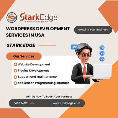 WordPress Development Services in USA | Stark Edge branding graphic design