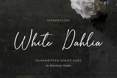 White Dahlia - Handwritten Font branding design font font design free font signature type type design typeface typography