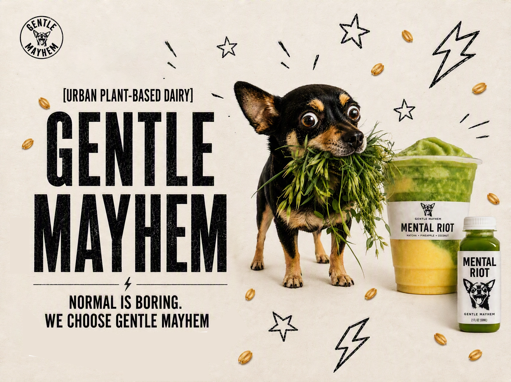 We are The Gentle Mayhem branding capcut design graphic design illustration logo typography