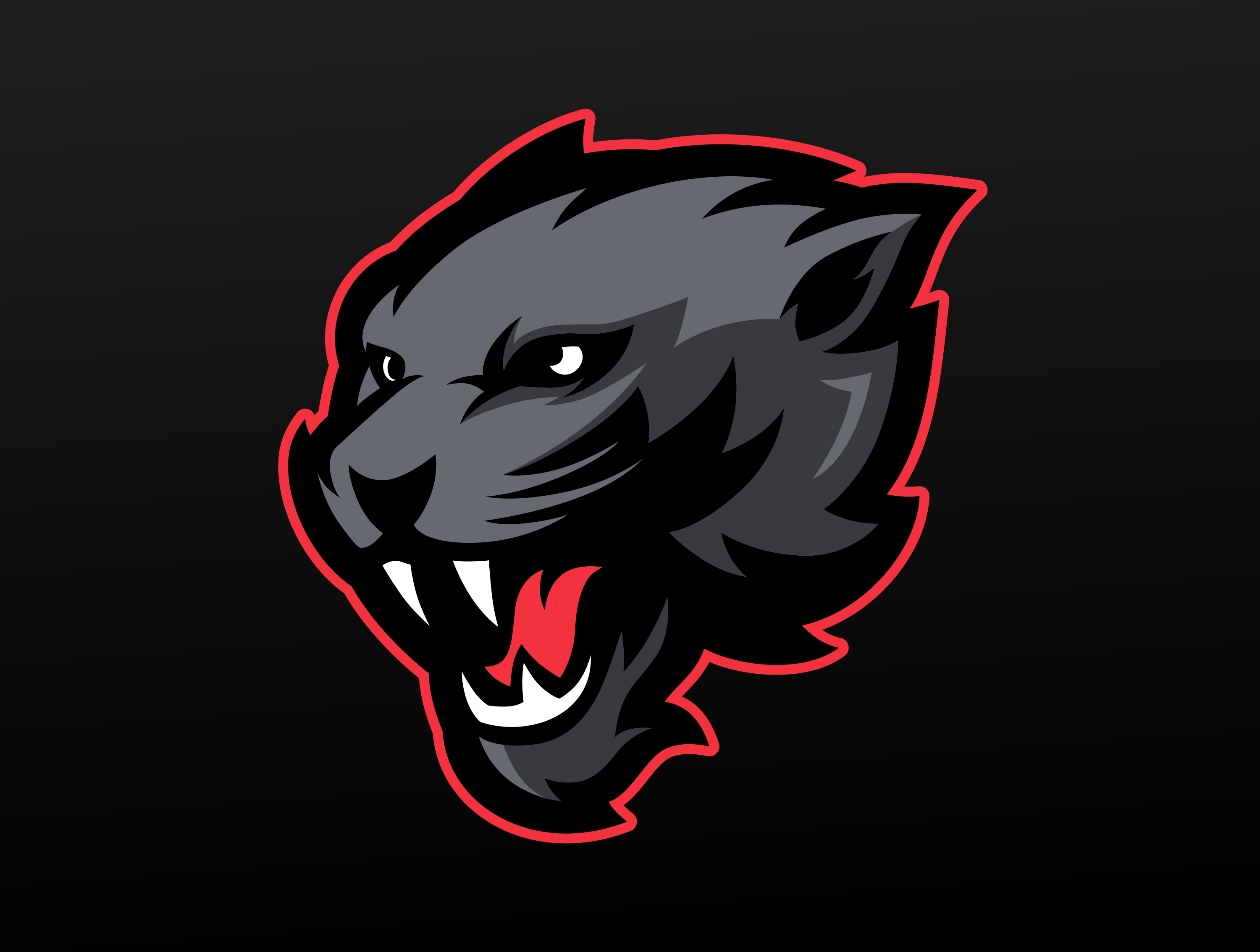 BLACK PANTHER Mascot Logo Premades blackpanther branding esport esport logo esportlogo gaming illustration jaguar jaguar logo mascot mascot logo panther panther logo premades sport logo sports sports logo streamer streaming twitch