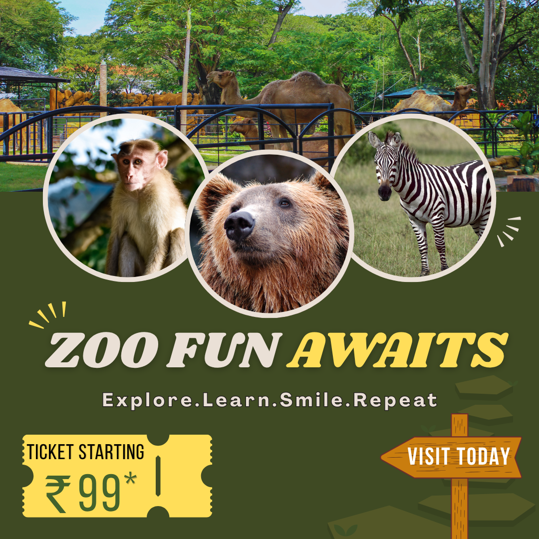 Zoo Fun Awaits | Social Media Design ad creatives ad design event banner poster design promotional graphic social media design ticket design wildlife zoo banner