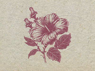 Hibiscus design flower hibiscus illustration linocut print retro vintage