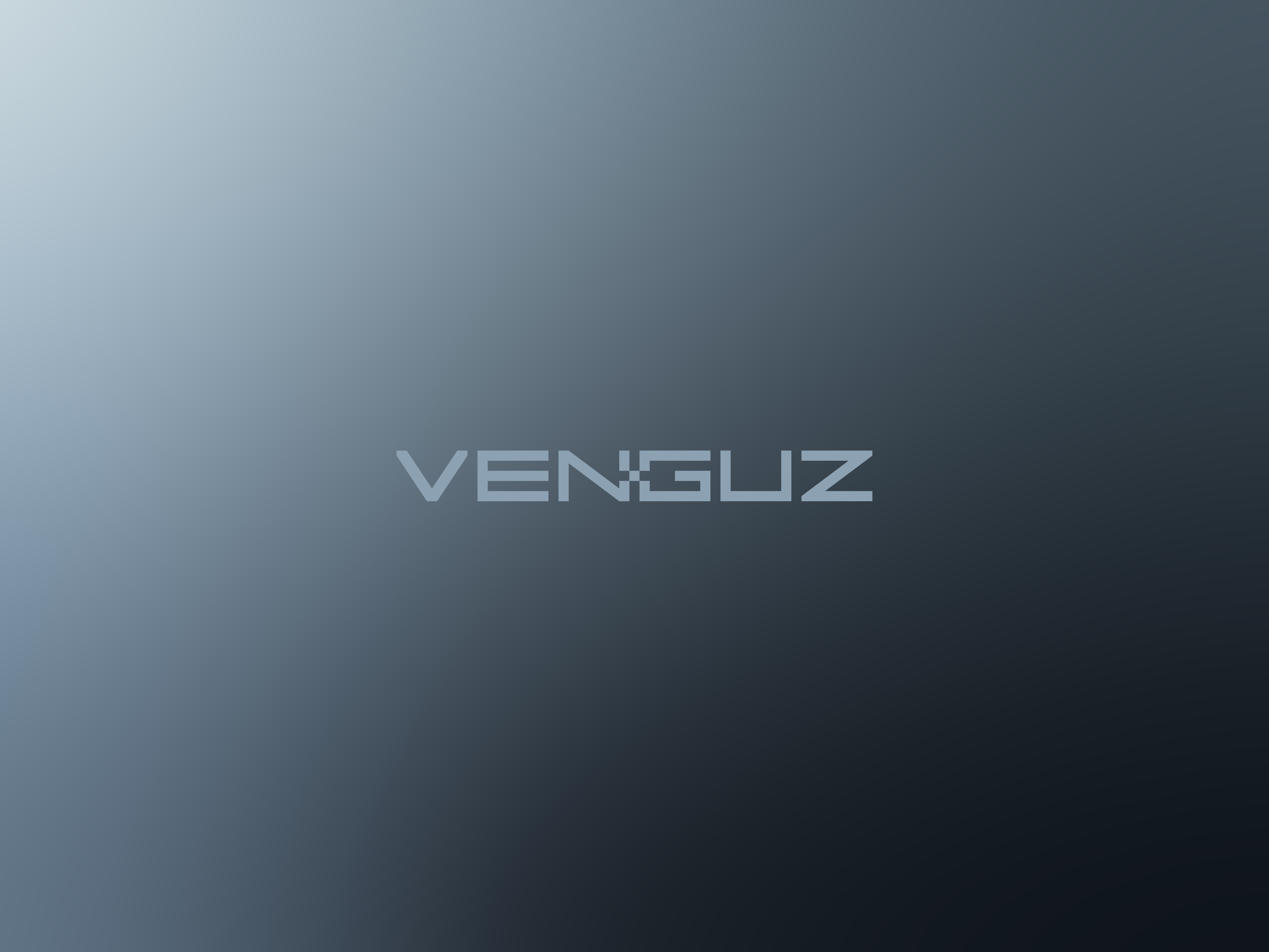 VENGUZ Logo branding graphic design logo
