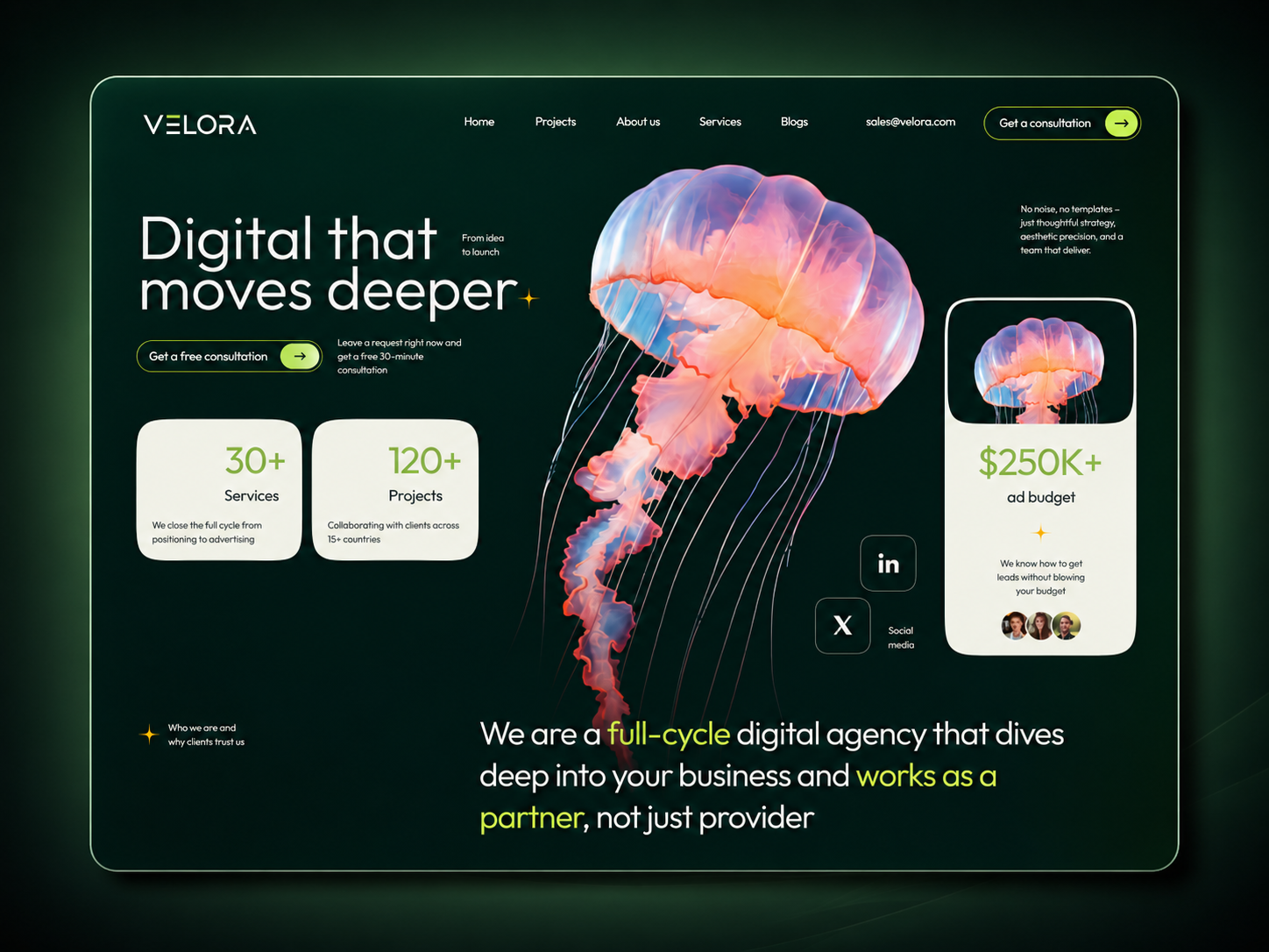 VELORA — Digital Product & Technology Agency design device mockup mobile design product design responsive design saas design uiux web design web development website design website mockup
