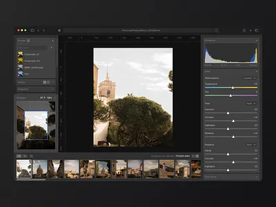 Picturize - Photo Editing Tool app app design app ui crm dashboard design interface lightroom redesign photo editing ui uiux ux web web design