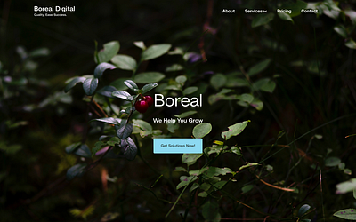 Boreal Digital branding logo design marketing ux design web design