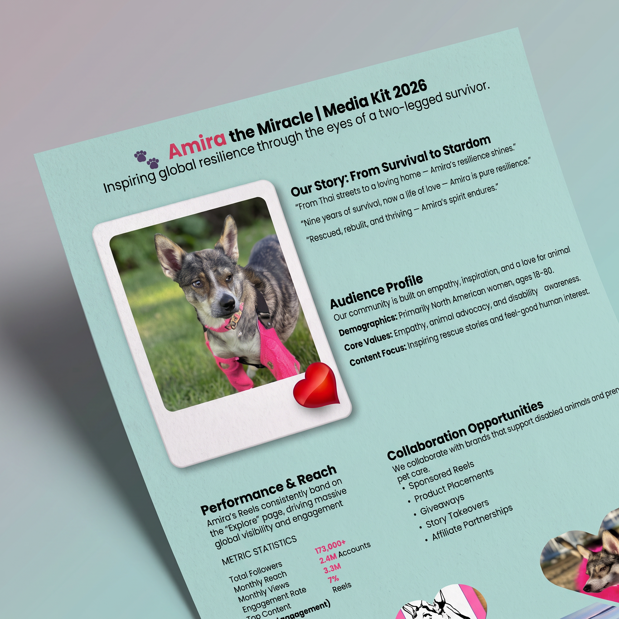 AMIRA THE MIRACLE — MEDIA KIT BRAND DESIGN alibakhitdesign graphic design poster poster design