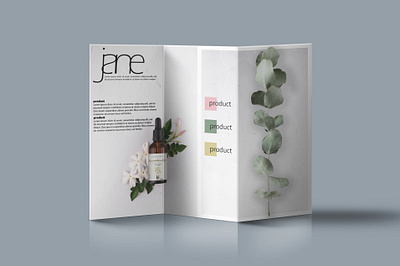 Jane Brochure branding graphic design logo