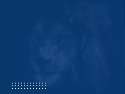 Lidya animated branding animation branding logo motion graphics