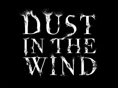 Dust In The Wind Typography art direction artwork design graphic design illustration type poster typography