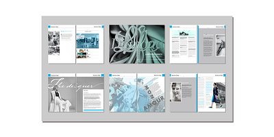 Design: Page Layout: Magazine branding design graphic design illustration logo typography ui ux vector