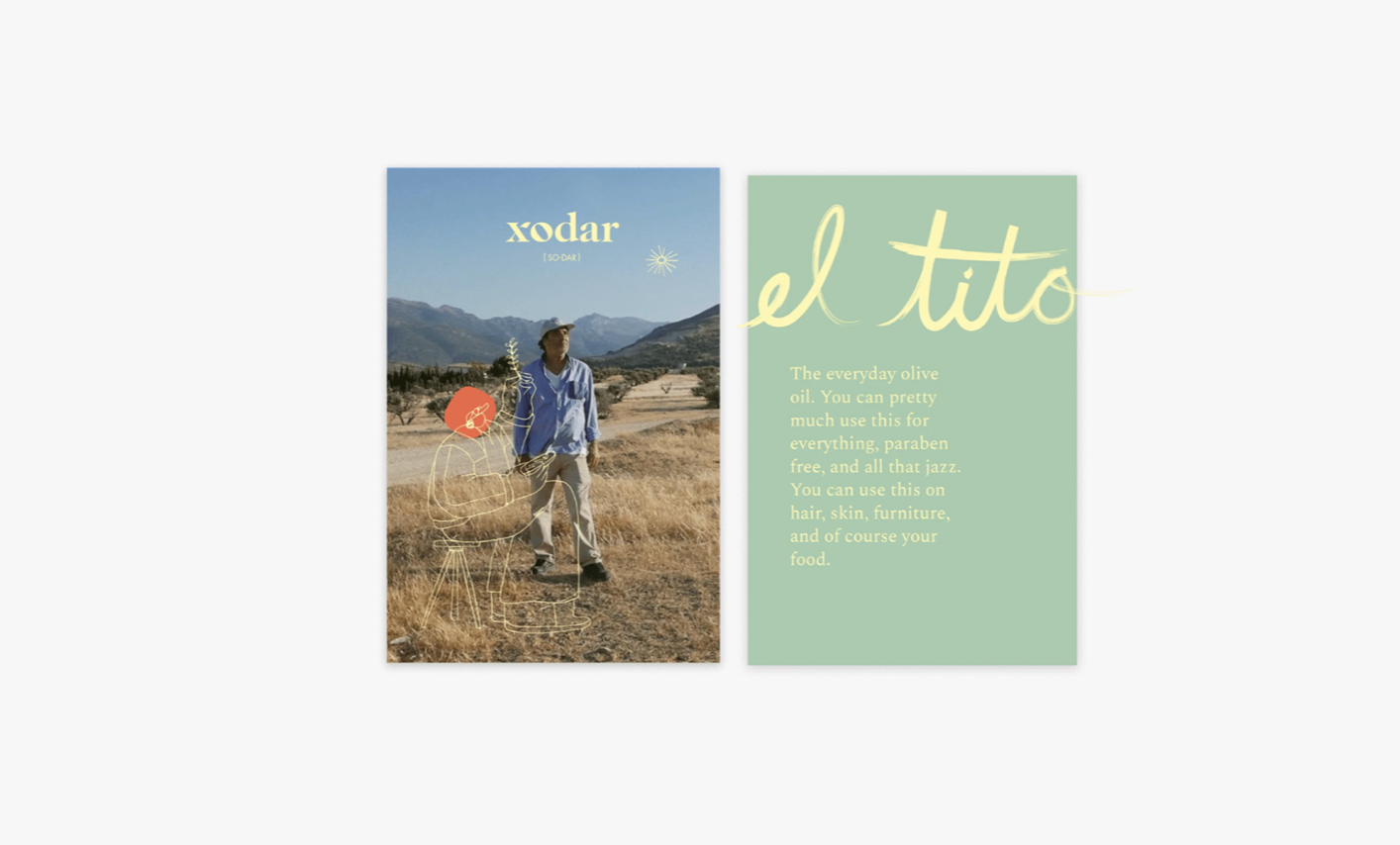 XODAR | Olive Oil app branding design graphic design illustration typography ui