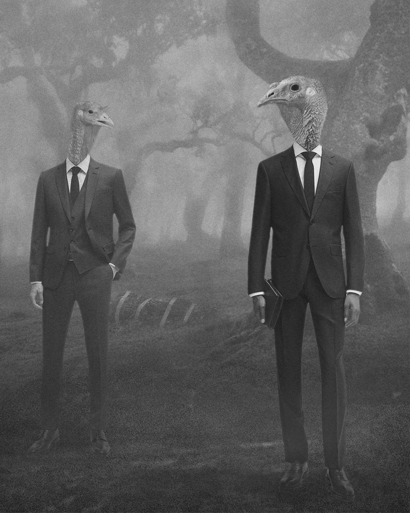 RÉPUBLIQUE Des DINDONs .II