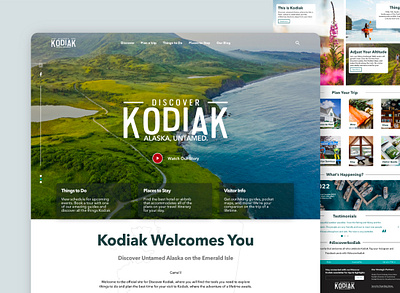 Tourism & Travel Landing Page adventure alaska branding clean web design discover graphic design landing page logo tourism travel ui visual identity web design
