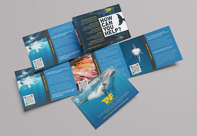 3-fold flyer for an NGO branding branding and identity design flyer