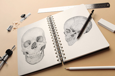 Skulls drawing illustration