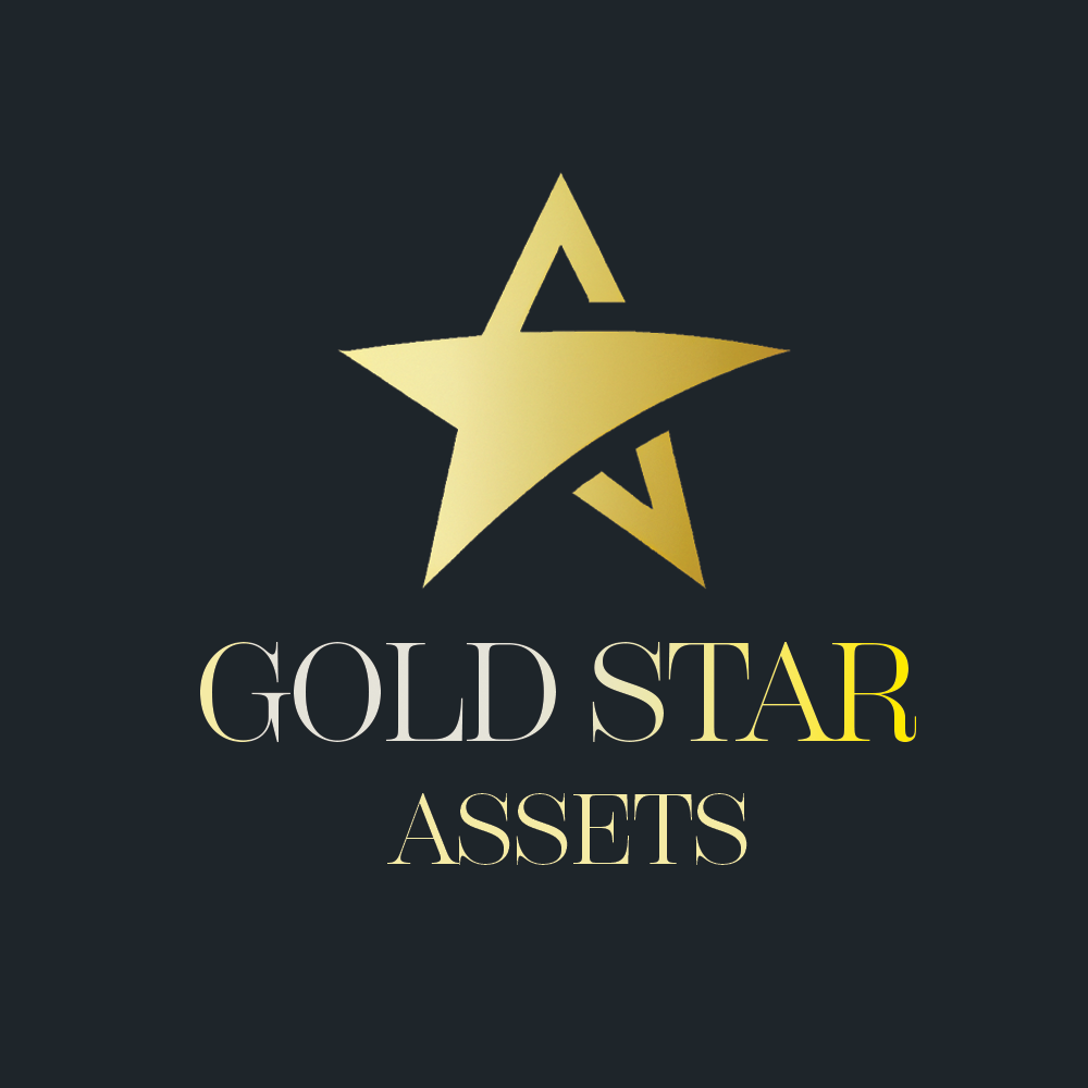 Gold Star Assets - B2B Brand Identity branding design graphic design illustration logo