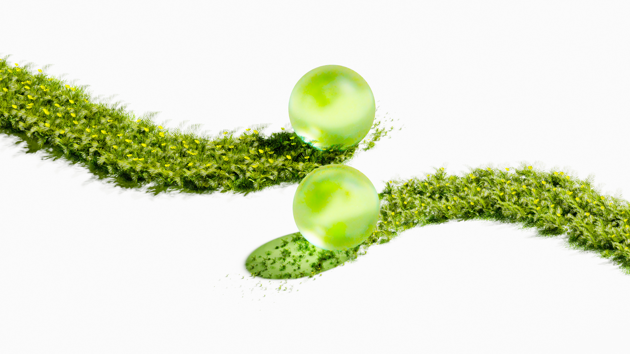 Nature Rolling Ball 3d 3d animation 3d blender abstract ball branding campaign flower graphic design green marble motion graphics natural nature