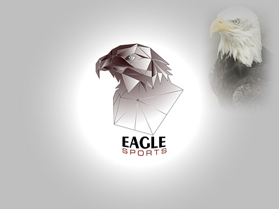 EAGLE_SPORTS Logo Concept a b c d e f g h i j k l m n o p branding design graphic design icon illustration logo logo design mark modern logo vector