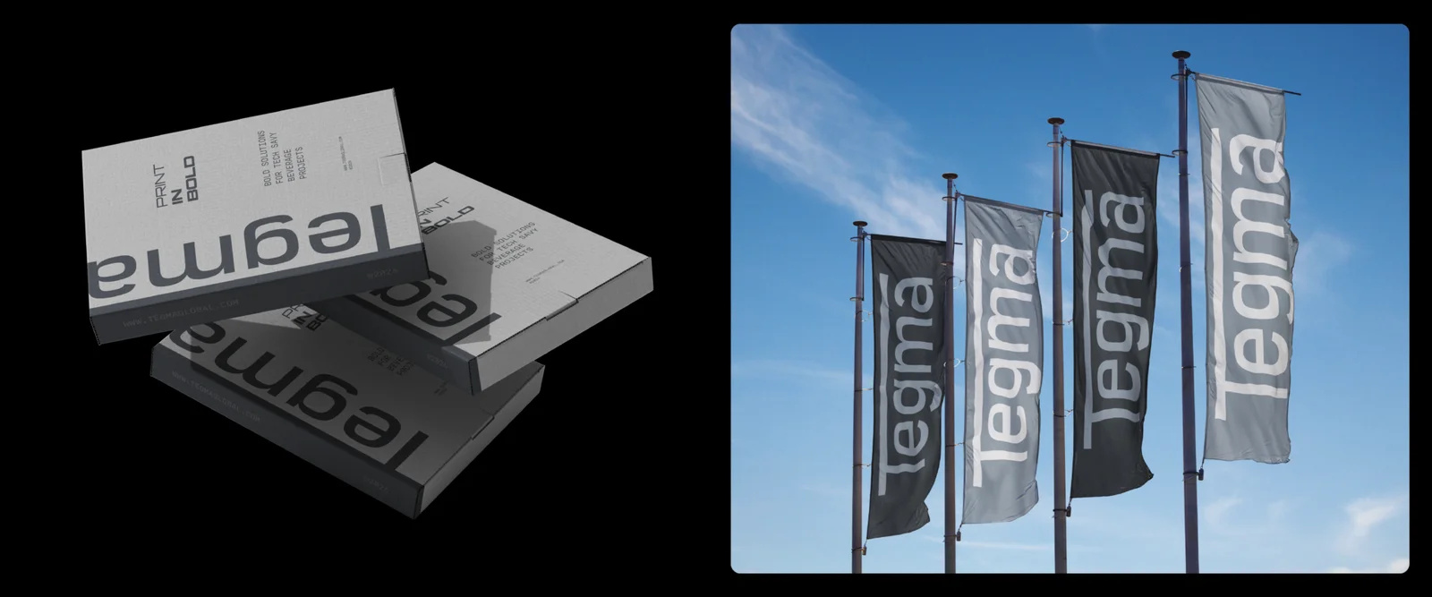 Example of Logo & Visual Identity — Extended
