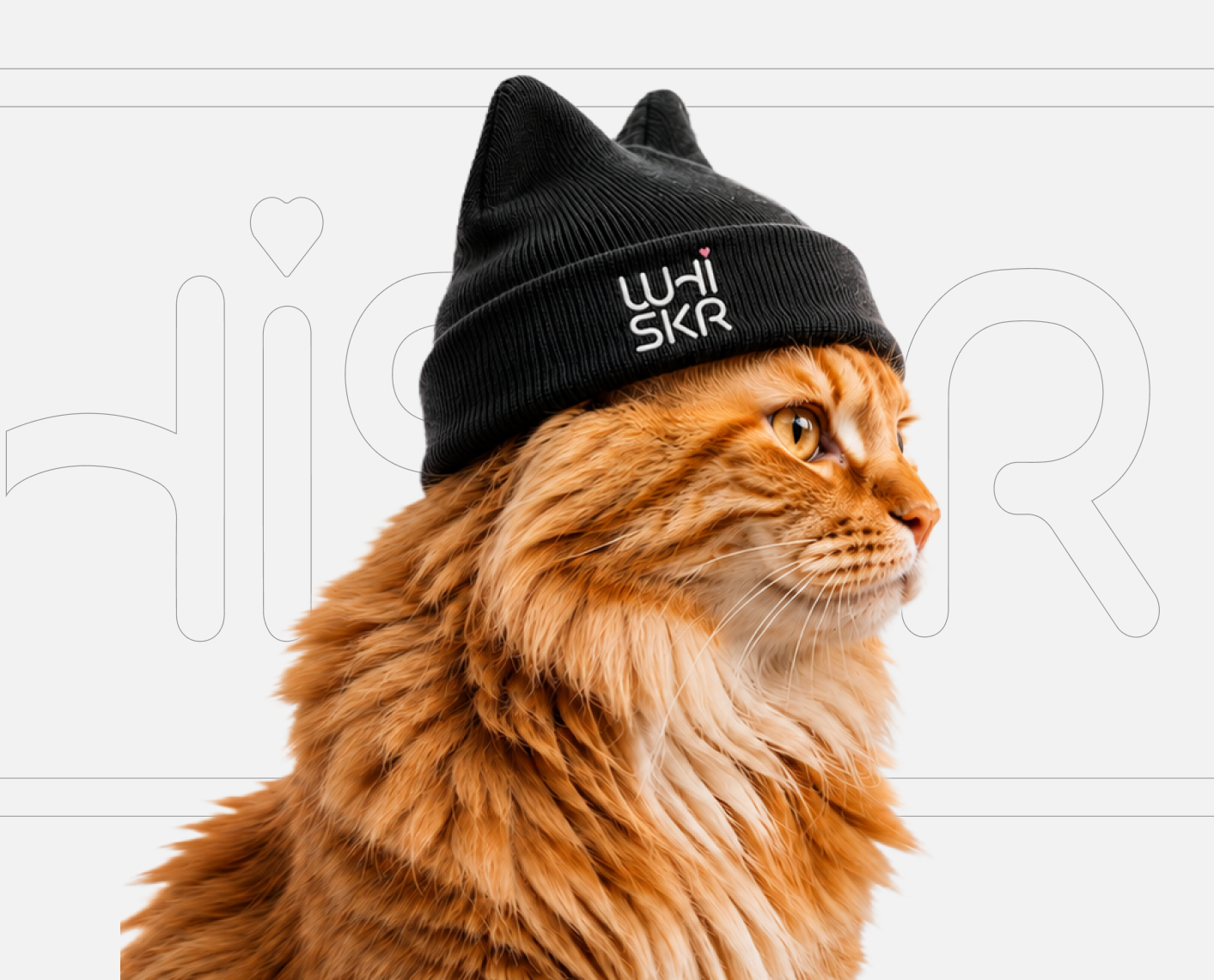WHISKR - Brand Identity 3d animation graphic design ui