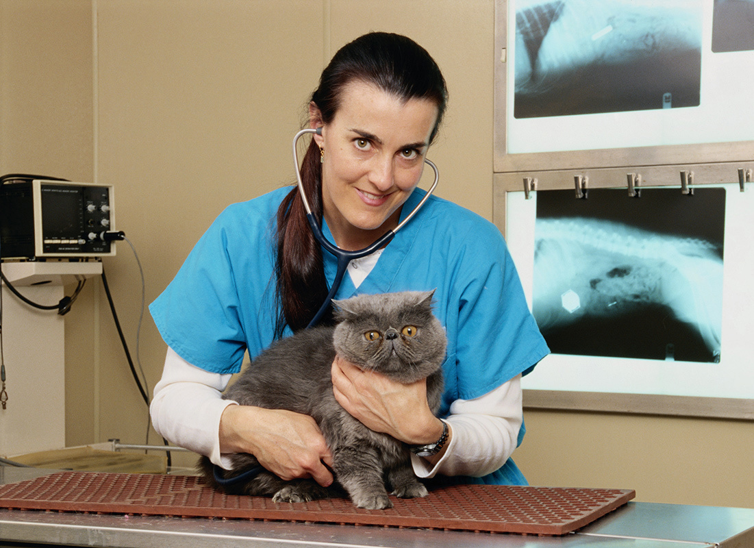 veterinary-office-assistant-diploma-in-canada-by-insignia-college-on