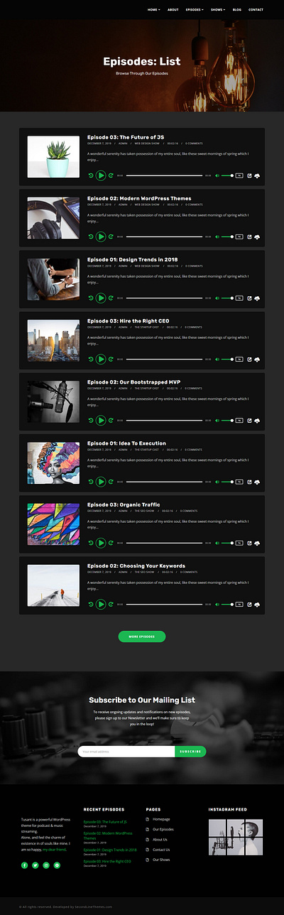 Episode List - WordPress Podcast Website aboassey branding design ecommerce graphic design ui website wordpress