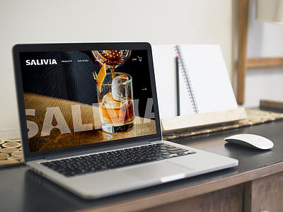 Salivia-gin brand website/landing page-concept 2 branding design graphic design logo typography ui