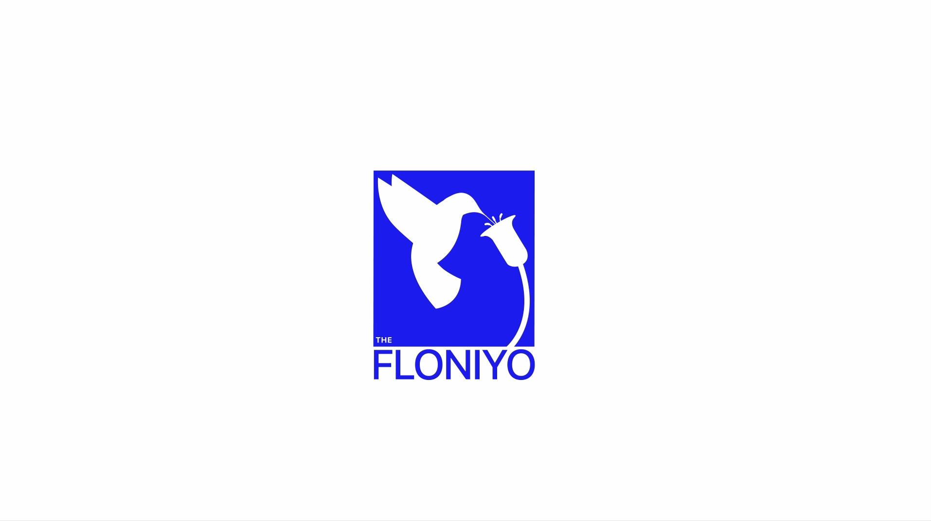 hummingbird Logo Motion 2d animation animation animation 2d branding design graphic design hummingbirds illustration logo logo ani logo animation logo motion minimal logo motion motion design motion graphics personal logo trend logo vector