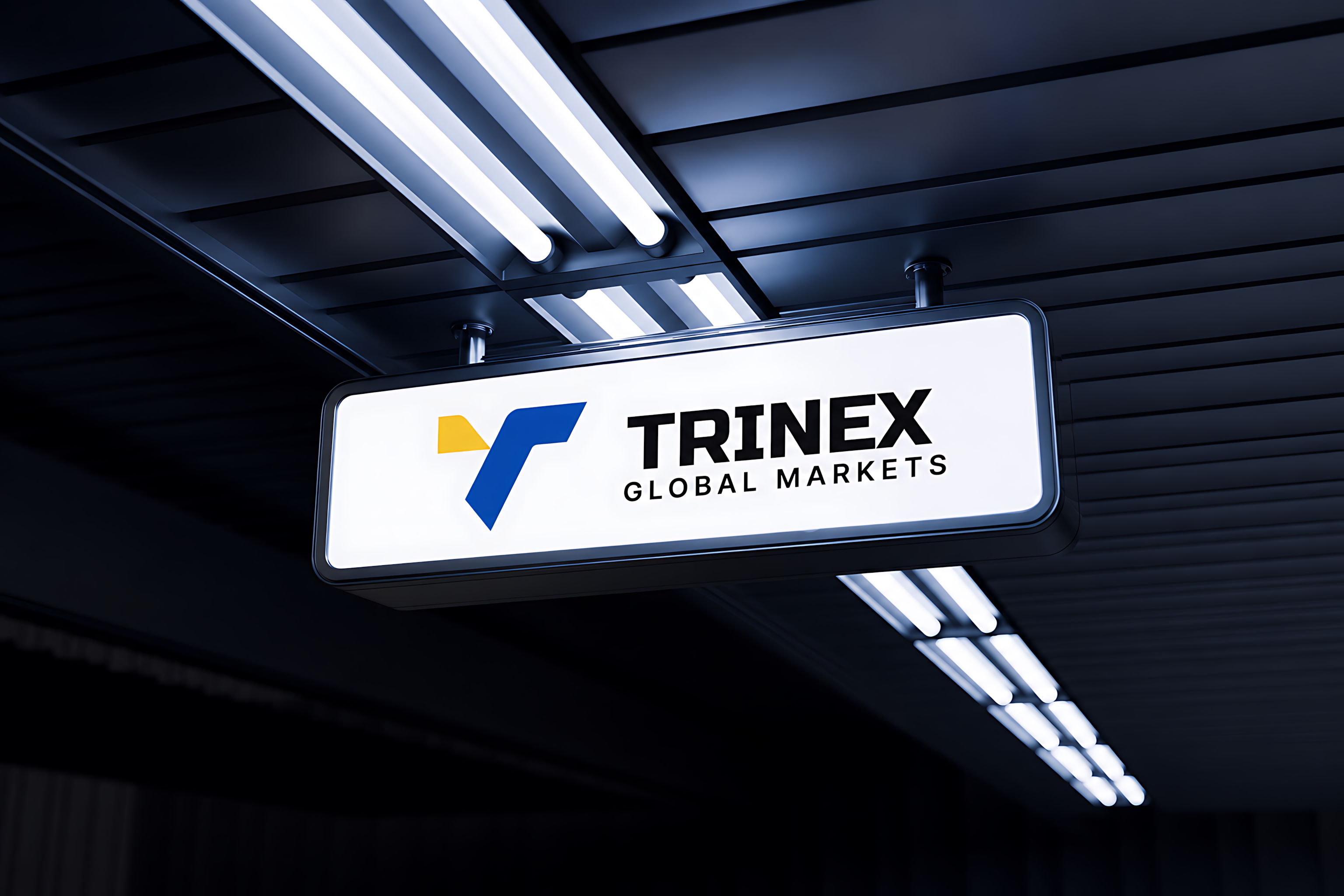 TRINEX FX | Forex Broker Logo and Branding fintech branding fintech logo forex forex branding forex broker forex broker branding forex broker logo forex logo