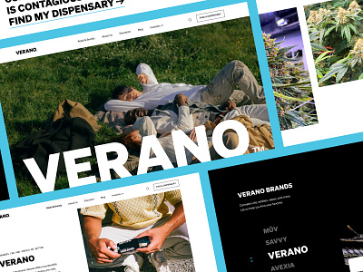 Verano - Brand Website black blue branding cannabis minimal ui ux website design