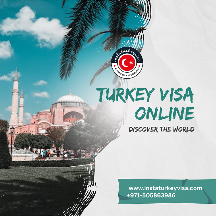 how-to-get-turkey-visa-online-by-pankaj-kumar-on-dribbble