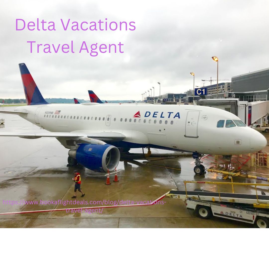 delta vacations travel agent        
        <figure class=