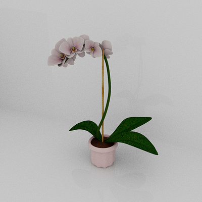 Orchid | 2023 3d autodesk flower flowerpot maya maya 3d orchid