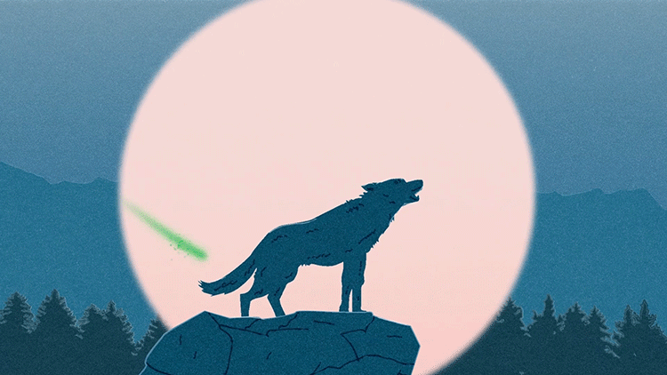 Let Data Live animal animals animation explainer video gif illustration illustrator moon motion motion graphics wolf