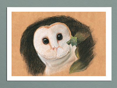 Barn Owl - Pastel pencil Illustration art print bird draw illustration nature pastel pencil