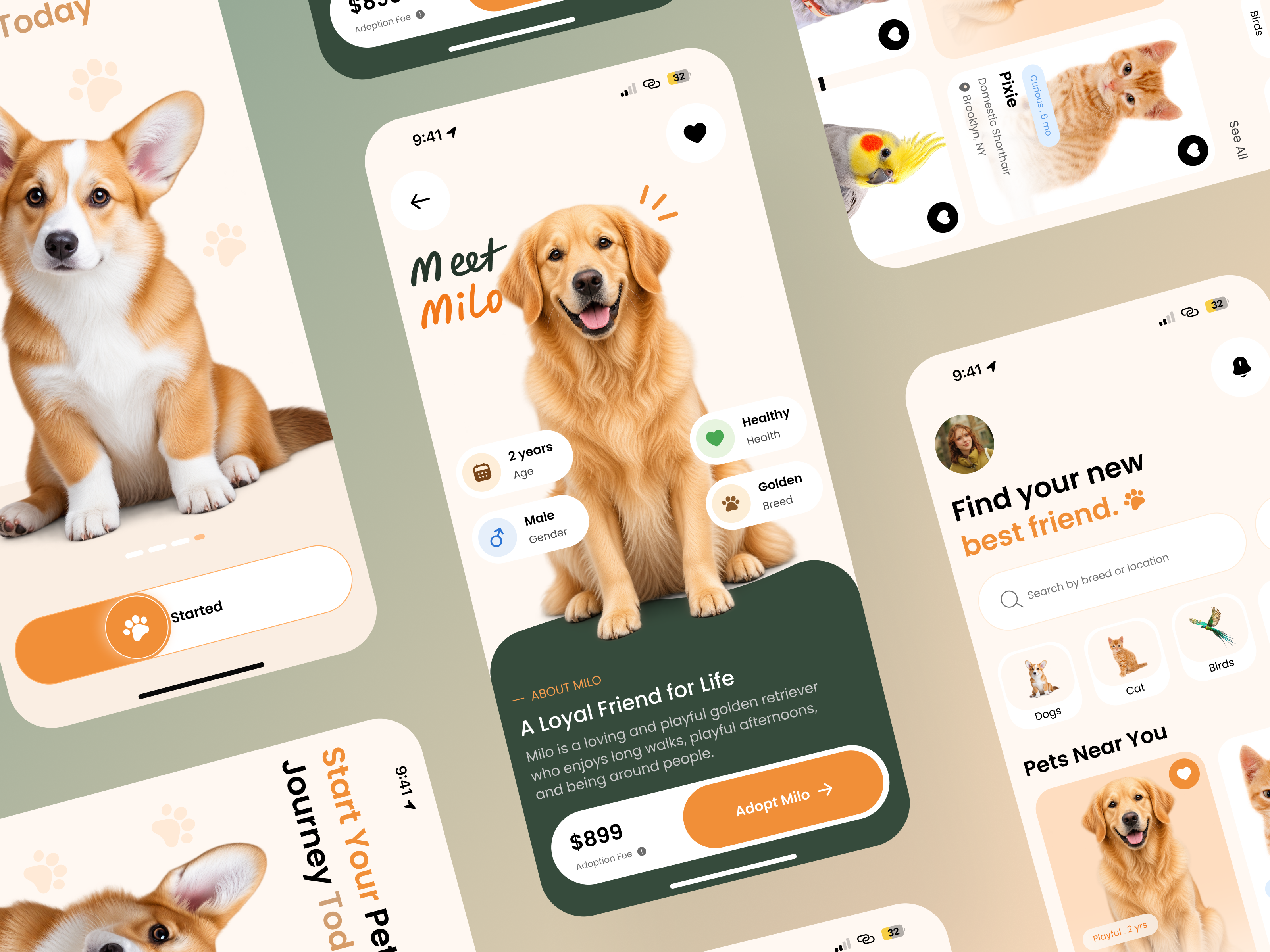Pet Adoption App adoption animal app design cat dog ios app mobile app pet adoption pet app pet care pets product design ui ui design ux design