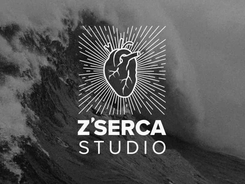 Studio Logo Animation after effects animation branding gif logo logo animation