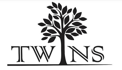 Logo Twins vector