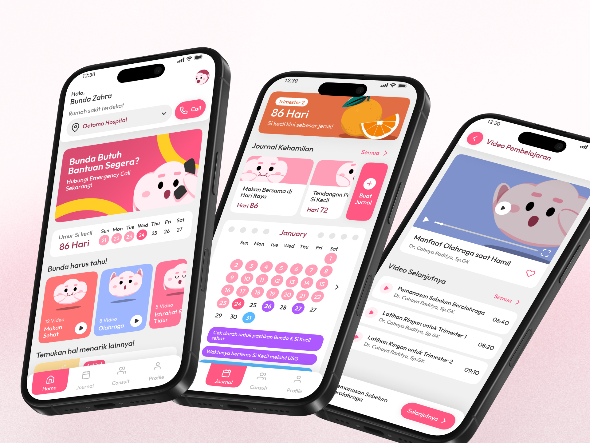 BooMeel - Journal, Calendar & Video Courses appscreens calendarui cleandesign cleanui design healthapp illustration ios journal mobile app ui videolearning
