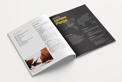 Employee Benefits Guide brochure design employee benefits graphic design layout